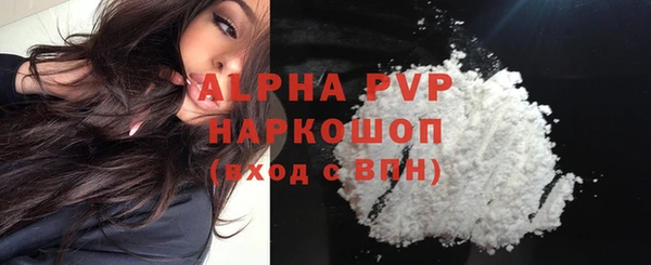 ПСИЛОЦИБИНОВЫЕ ГРИБЫ Козловка
