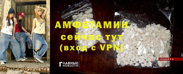 ПСИЛОЦИБИНОВЫЕ ГРИБЫ Козловка