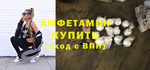 ПСИЛОЦИБИНОВЫЕ ГРИБЫ Козловка