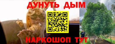mdpv Новозыбков