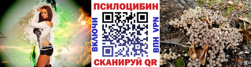 Галлюциногенные грибы Psilocybine cubensis  Биробиджан 
