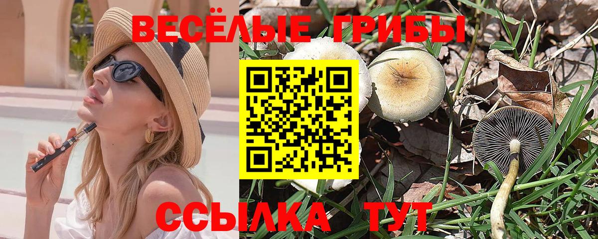 Биробиджан  Галлюциногенные грибы Psilocybine cubensis  Вход с VPN  Галлюциногенные грибы ЛСД 