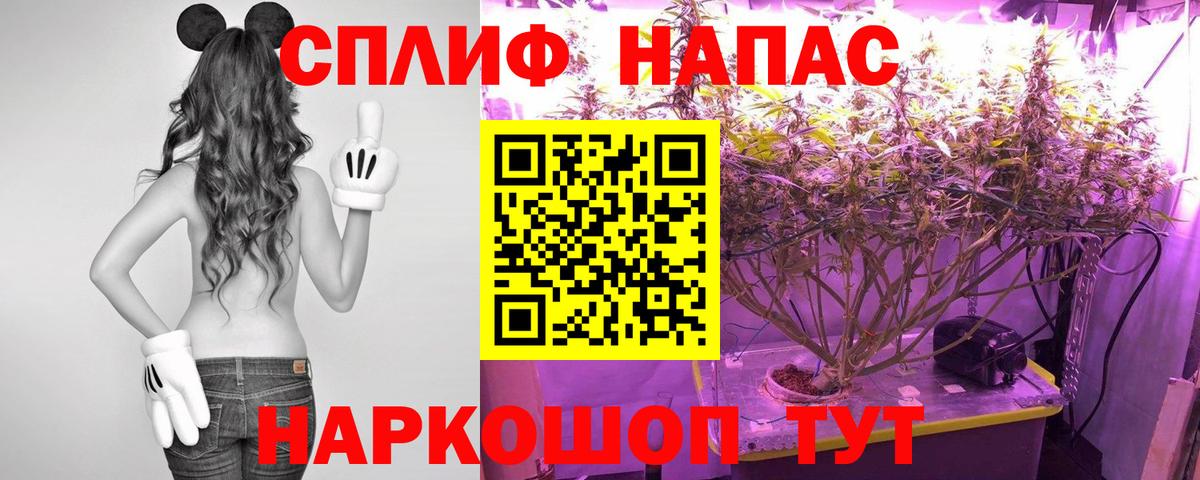 Канабис гибрид Биробиджан
